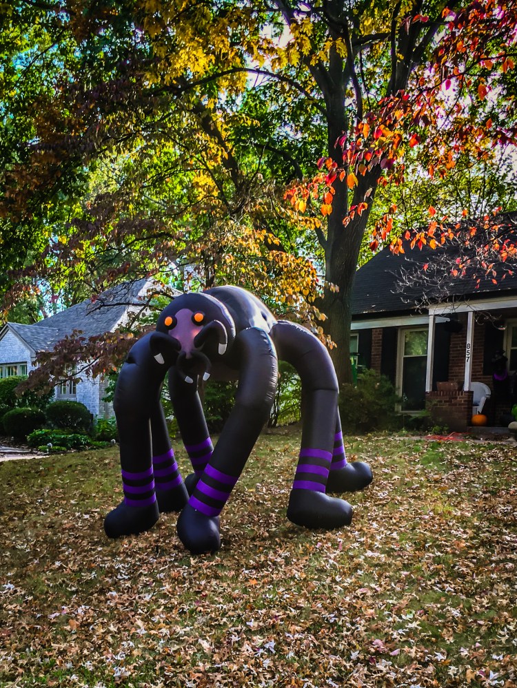 Oakbrook Forest (4 of 9)