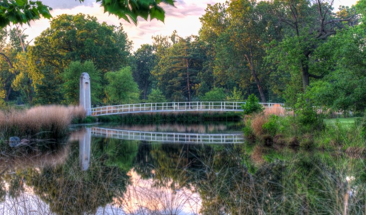 forest-park-suspension-bridge-7