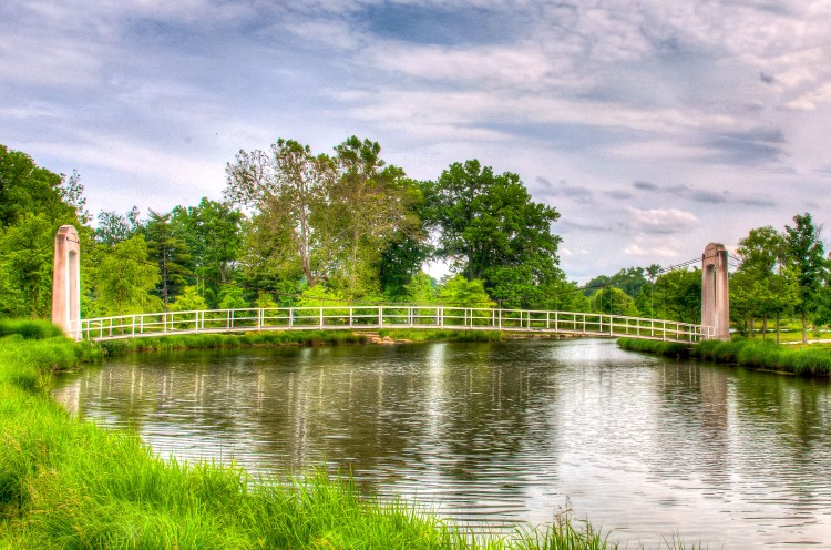 forest-park-suspension-bridge-8
